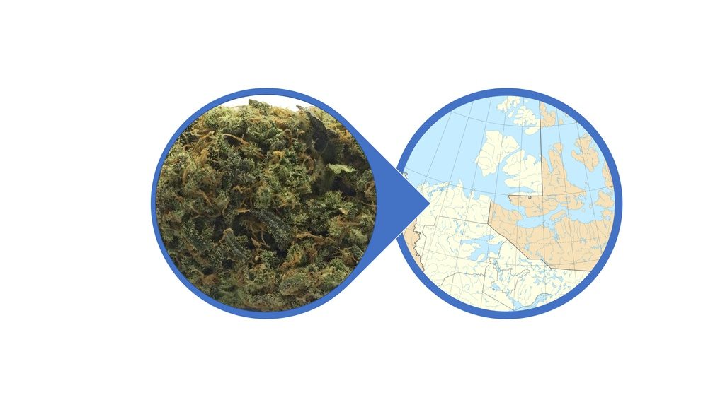 Find Cannabis Buds in Northwest Territories