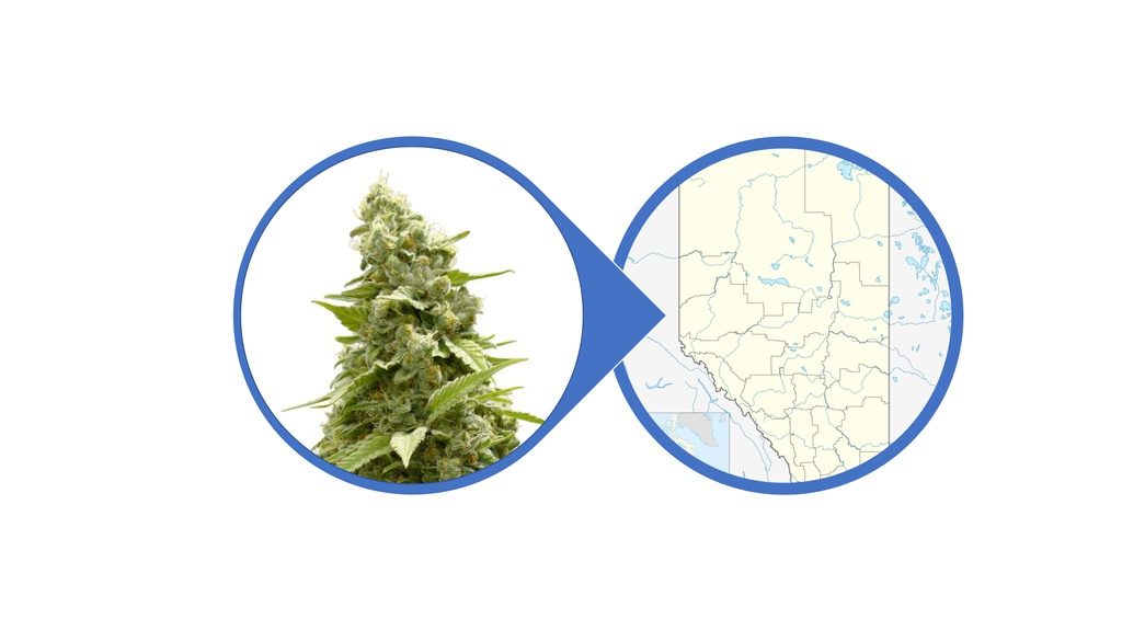 Find Cannabis Flowers in Alberta