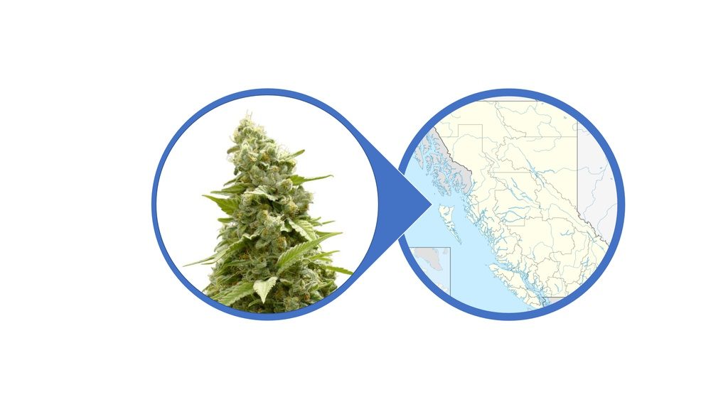 Find Cannabis Flowers in British Columbia