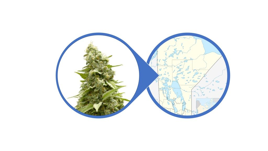 Find Cannabis Flowers in Manitoba