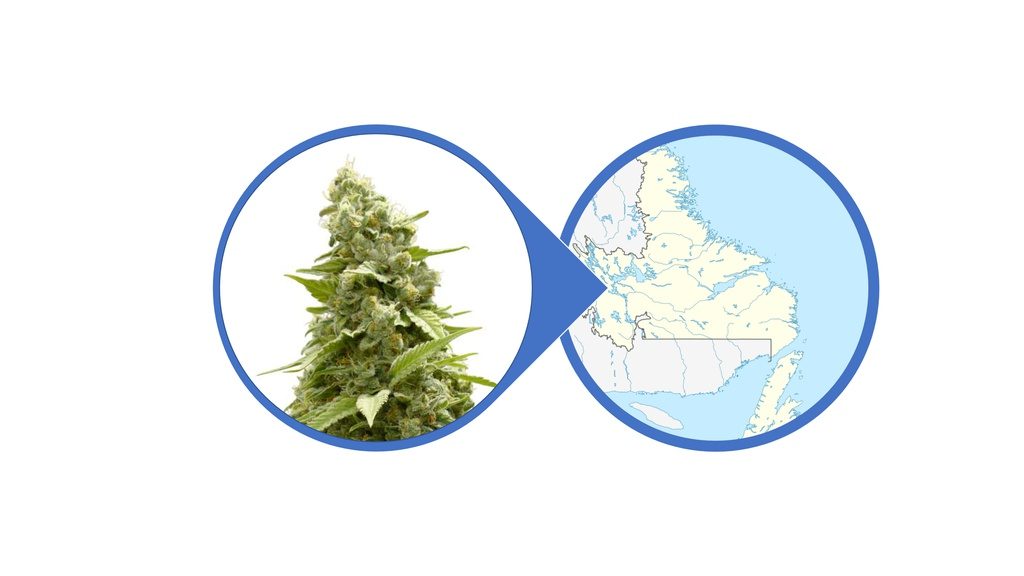 Find Cannabis Flowers in Newfoundland and Labrador