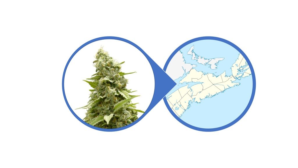 Find Cannabis Flowers in Nova Scotia