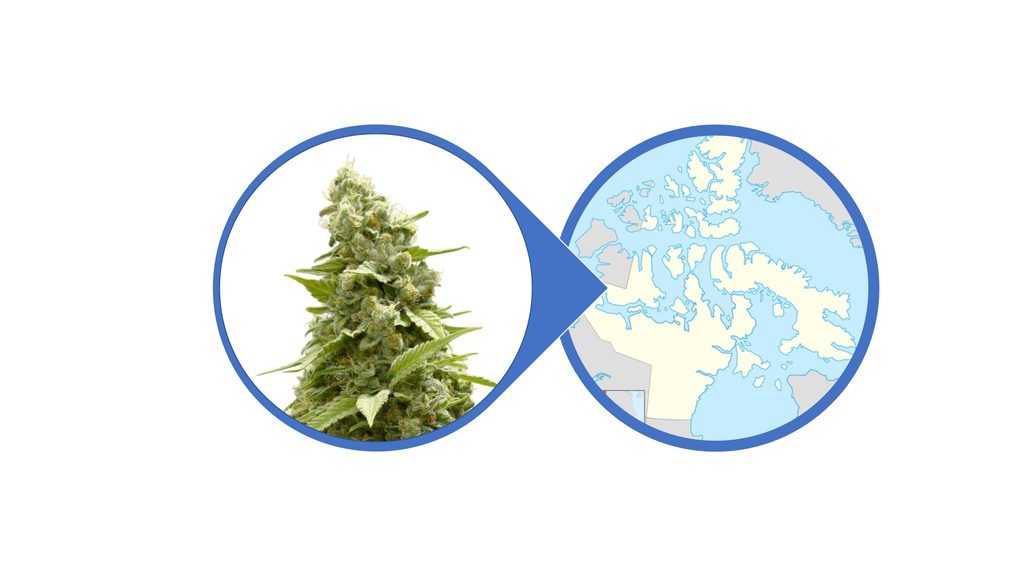 Find Cannabis Flowers in Nunavut