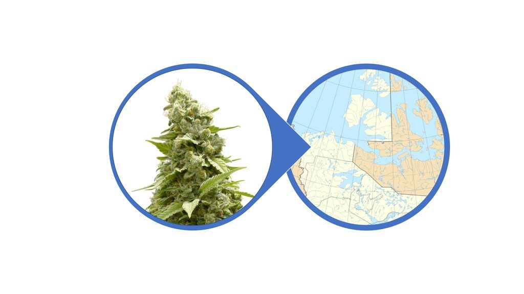 Find Cannabis Flowers in Northwest Territories