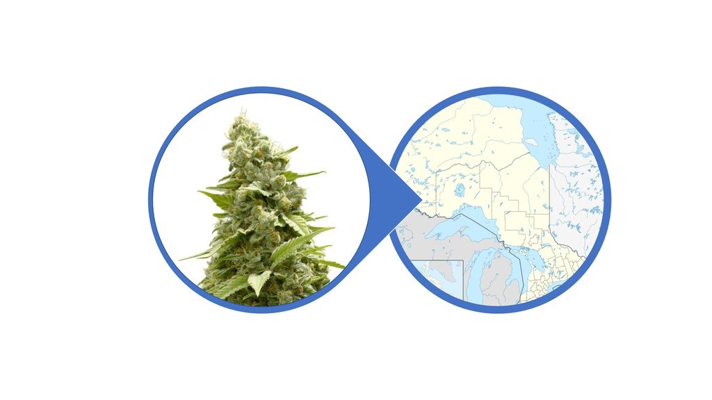 Find Cannabis Flowers in Ontario