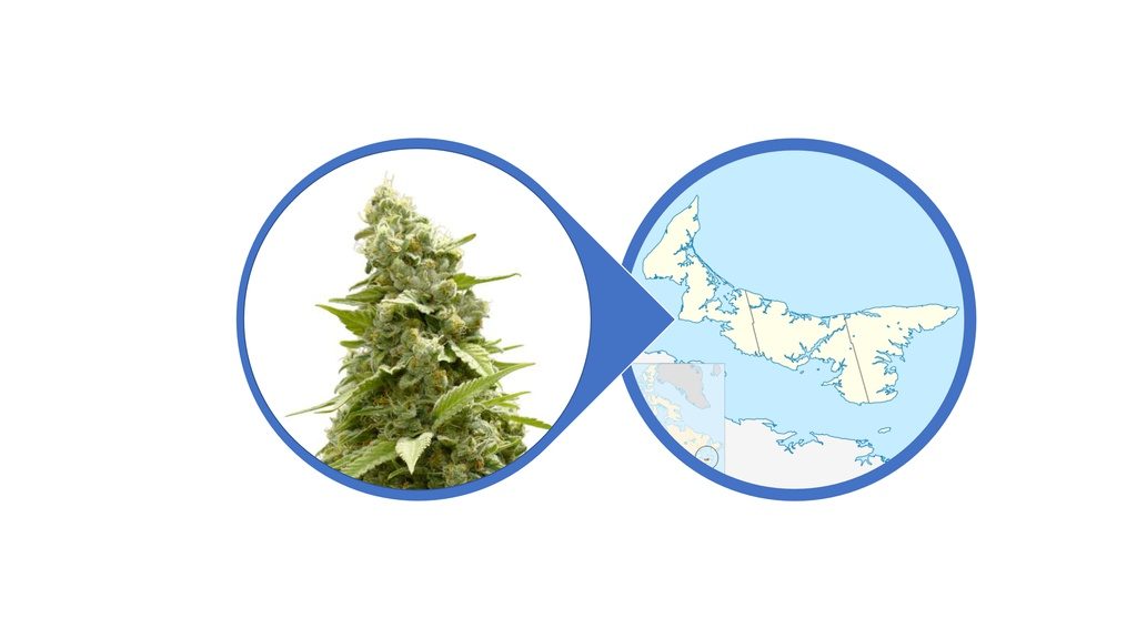 Find Cannabis Flowers in Prince Edward Island
