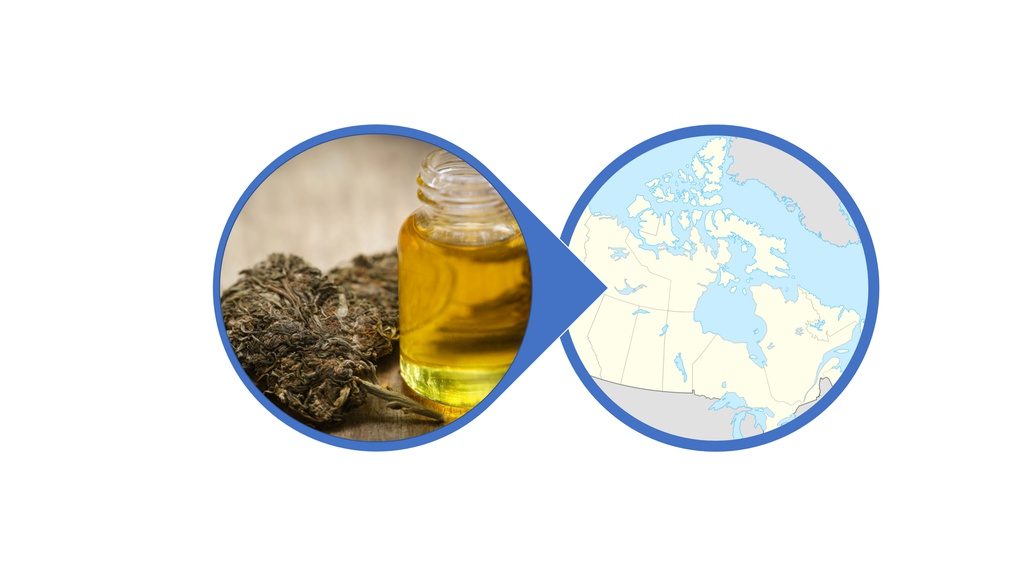 Find Cannabis-Infused Honey Across Canada