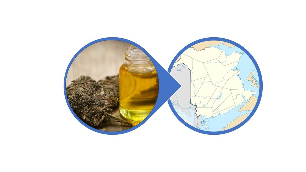 Find Cannabis-Infused Honey in New Brunswick