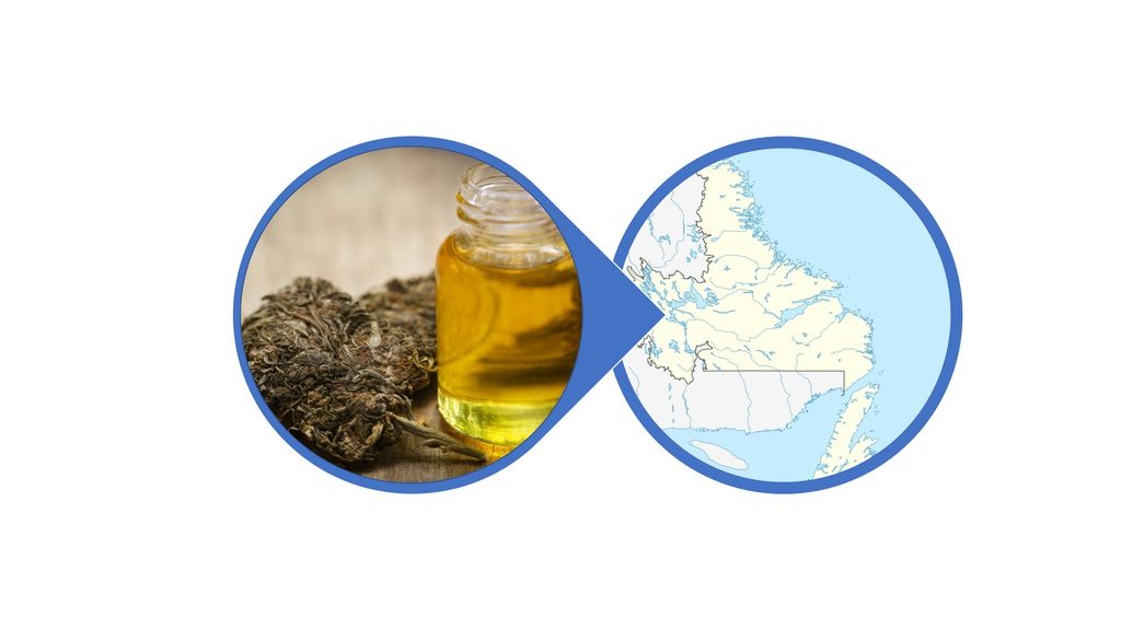 Find Cannabis-Infused Honey in Newfoundland and Labrador