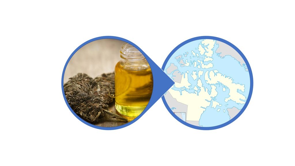 Find Cannabis-Infused Honey in Nunavut
