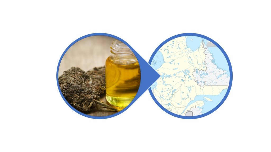 Find Cannabis-Infused Honey in Quebec