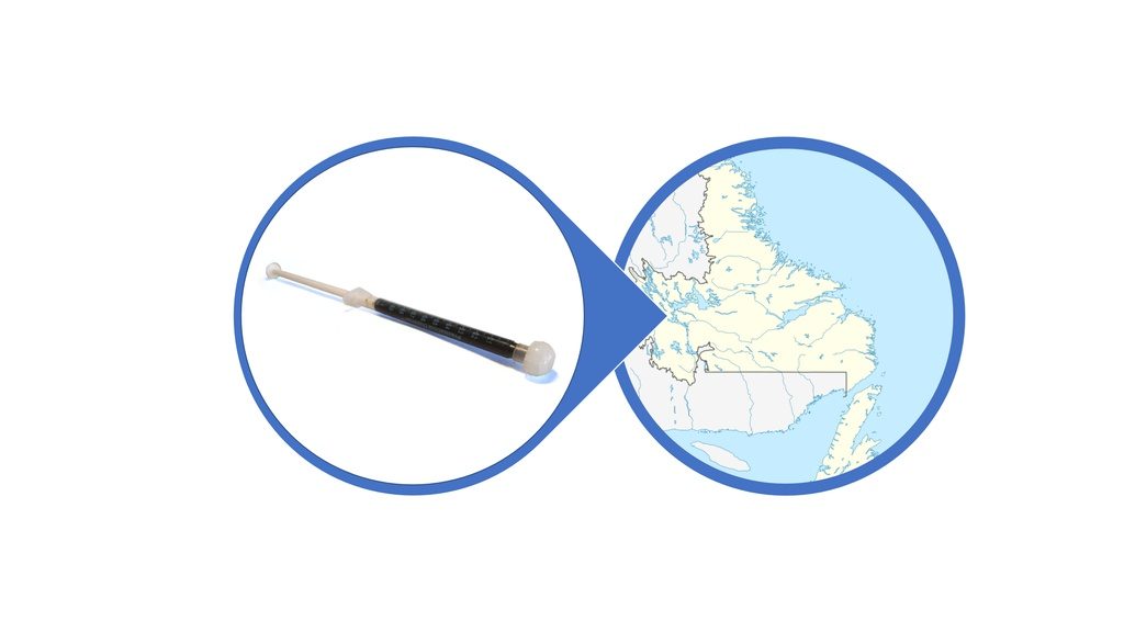 Find Cannabis Oil in Newfoundland and Labrador