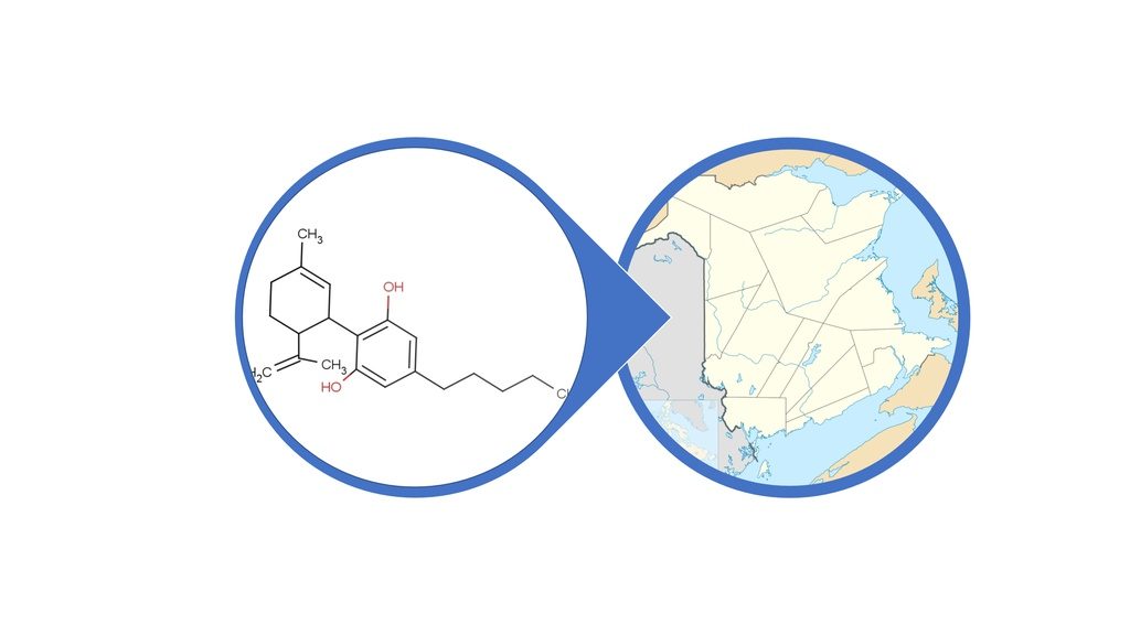 Find CBD Products in New Brunswick