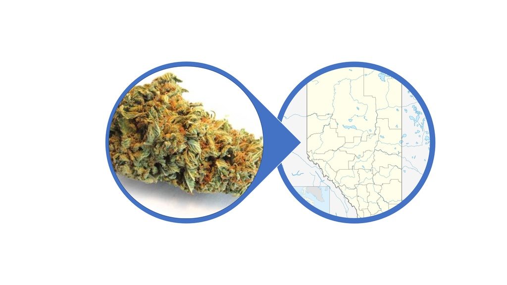Find Hybrid Cannabis Flowers in Alberta