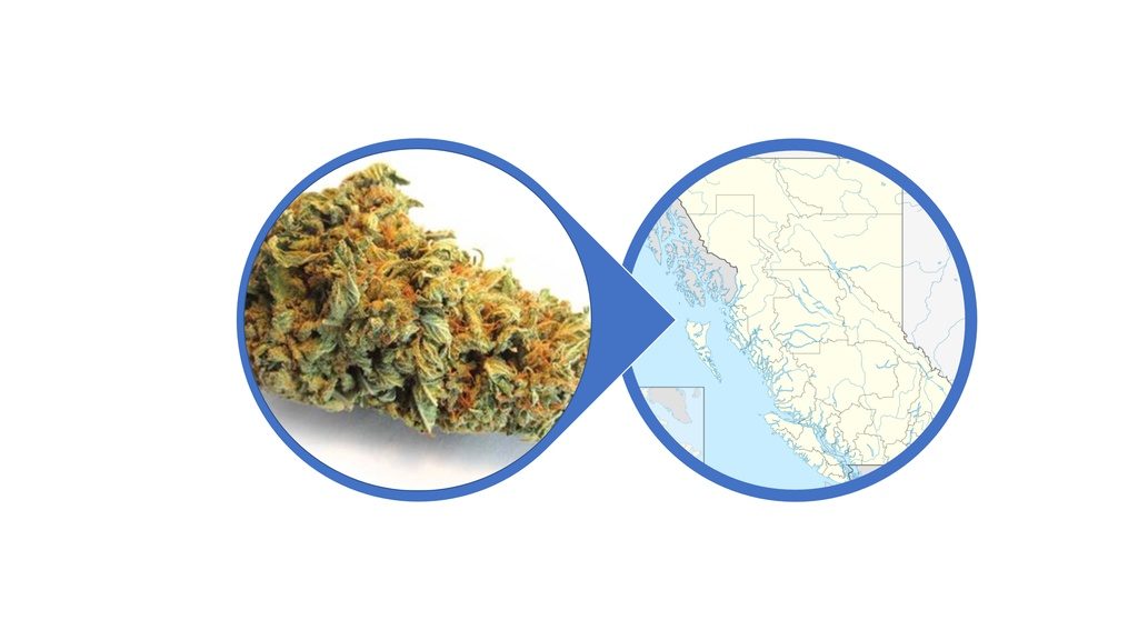 Find Hybrid Cannabis Flowers in British Columbia