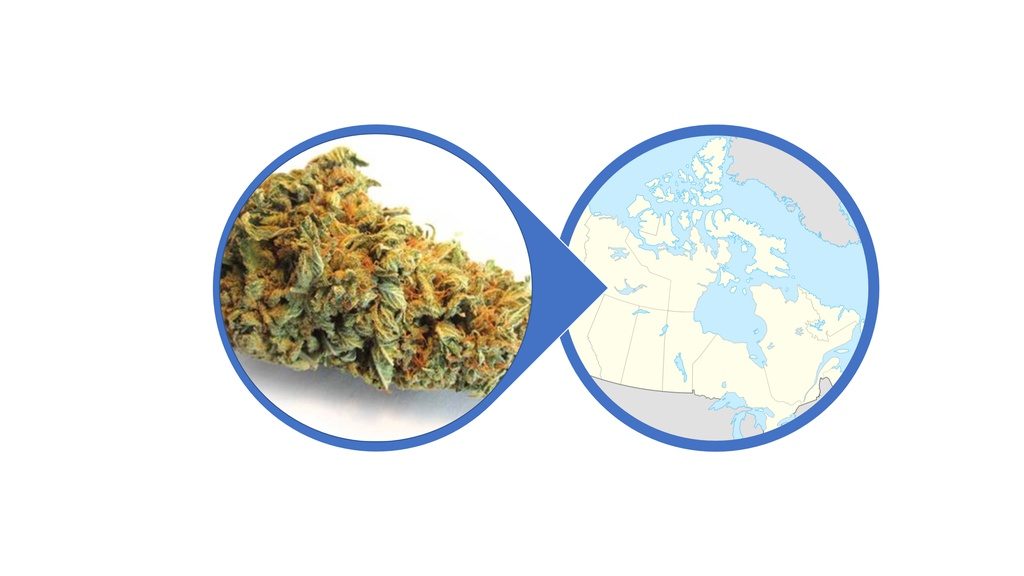 Find Hybrid Cannabis Flowers Across Canada