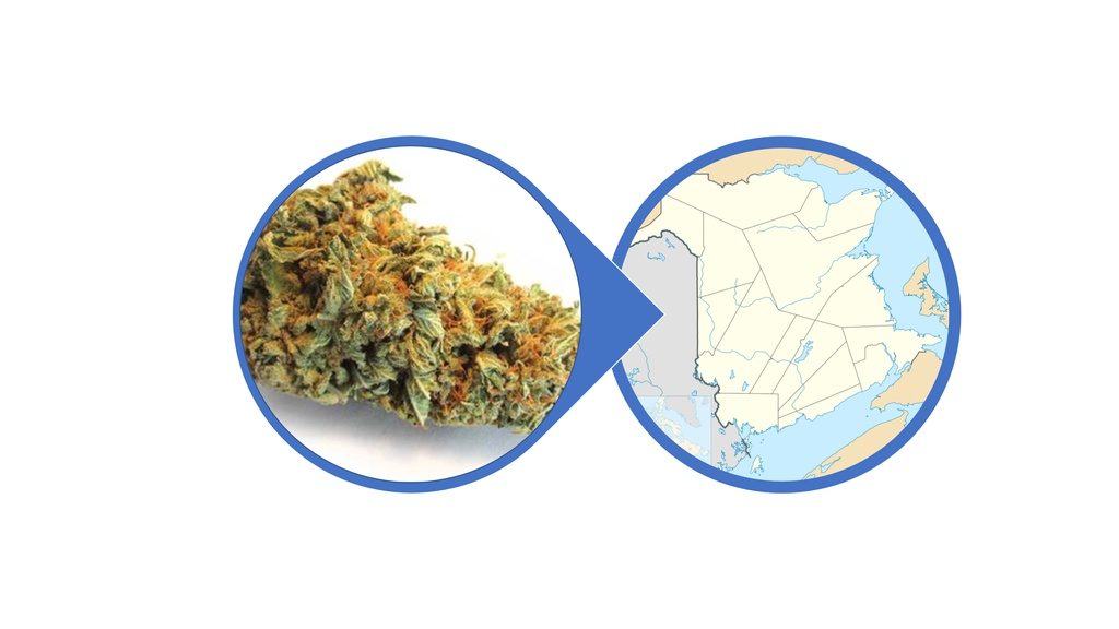 Find Hybrid Cannabis Flowers in New Brunswick