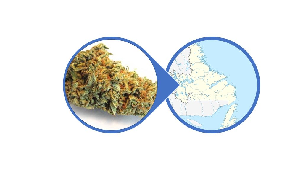 Find Hybrid Cannabis Flowers in Newfoundland and Labrador