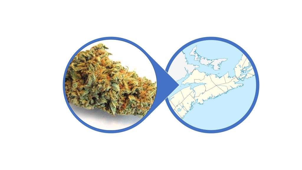 Find Hybrid Cannabis Flowers in Nova Scotia