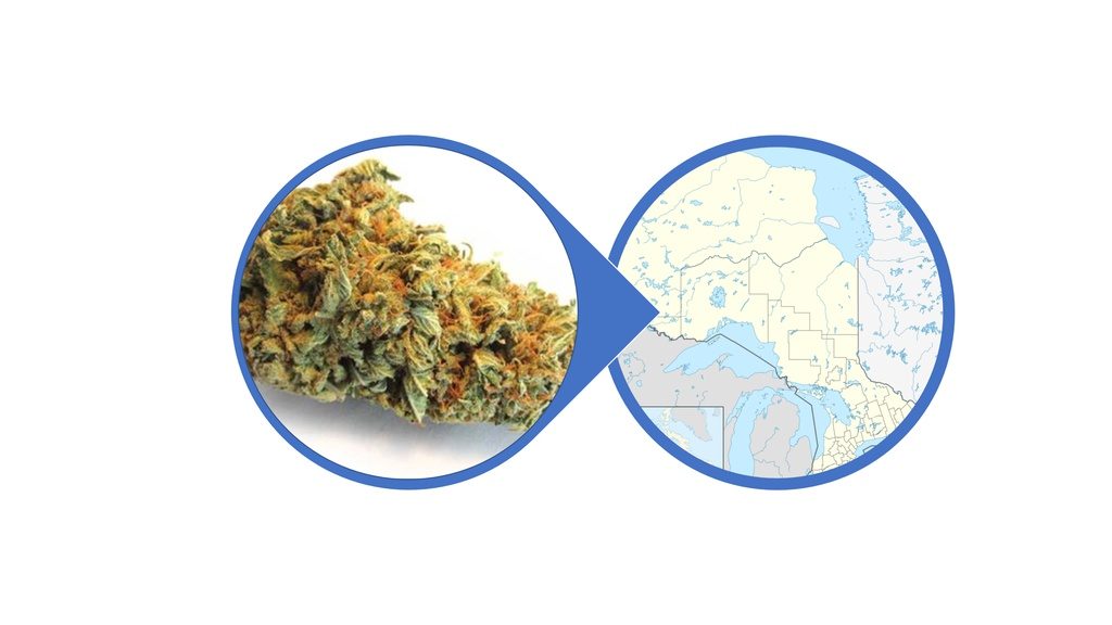 Find Hybrid Cannabis Flowers in Ontario