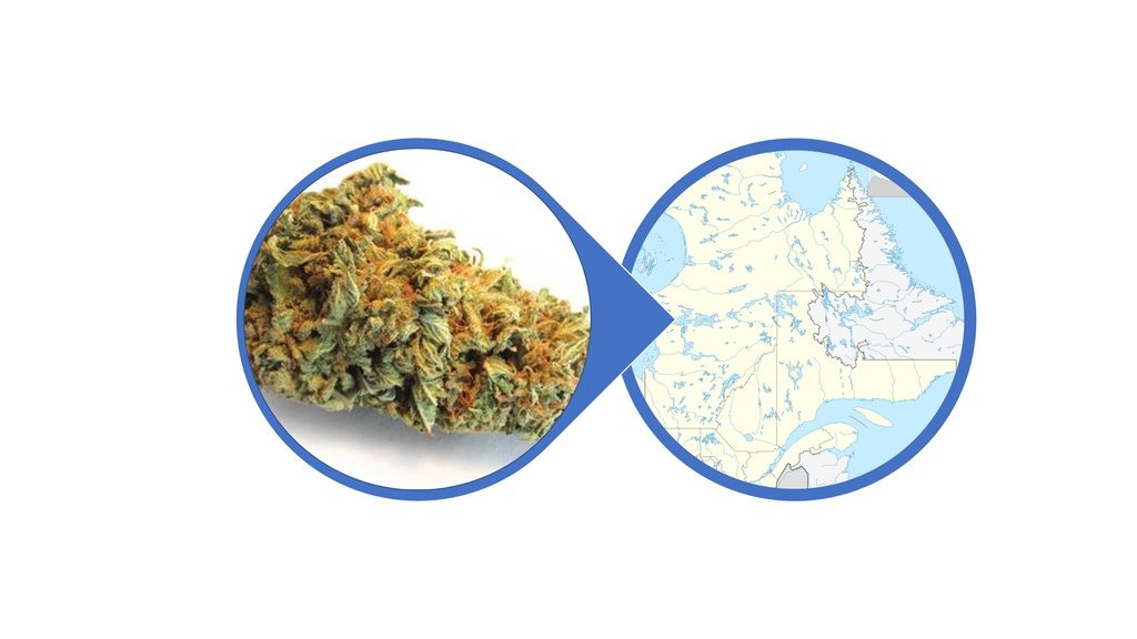 Find Hybrid Cannabis Flowers in Quebec