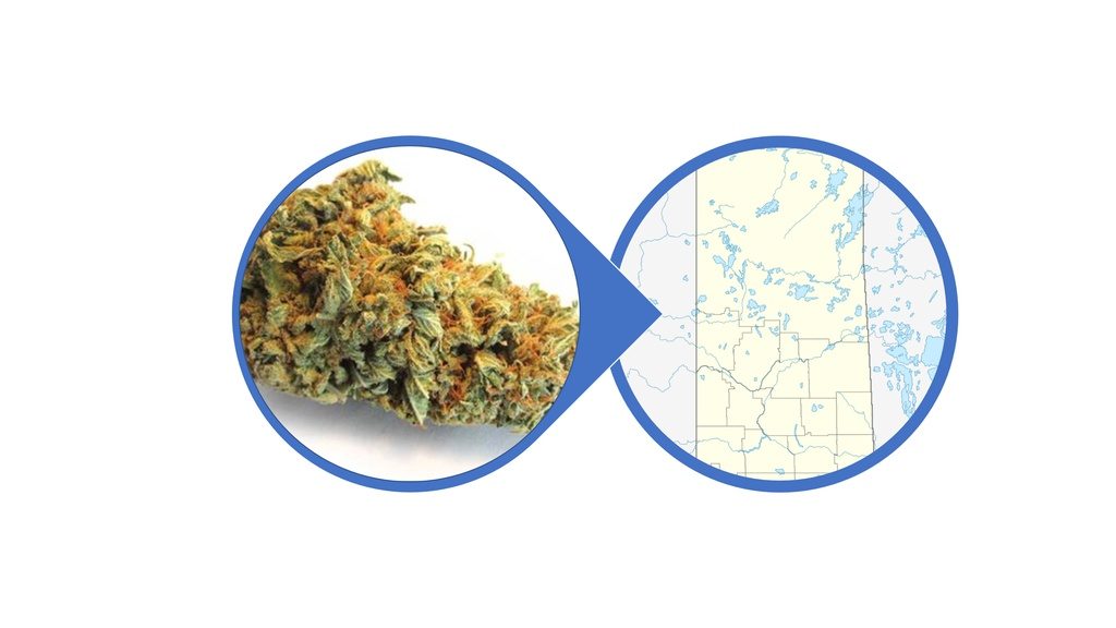 Find Hybrid Cannabis Flowers in Saskatchewan