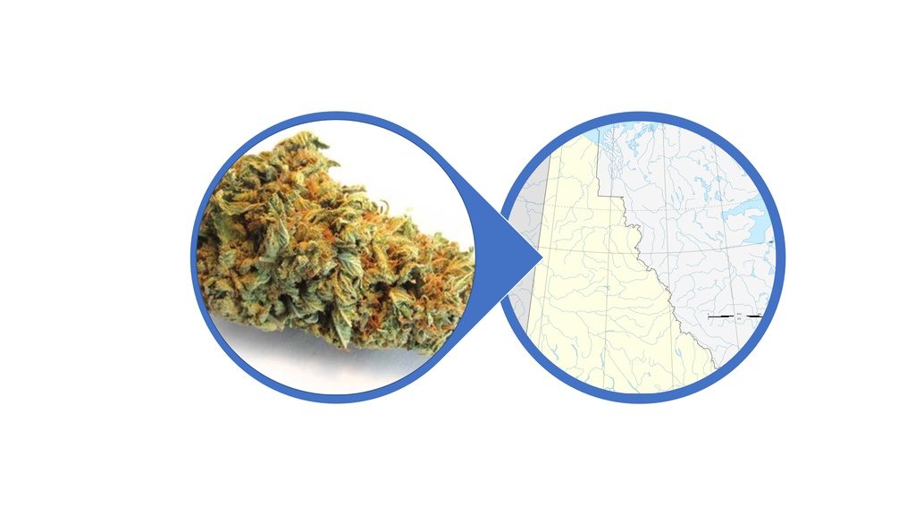 Find Hybrid Cannabis Flowers in Yukon