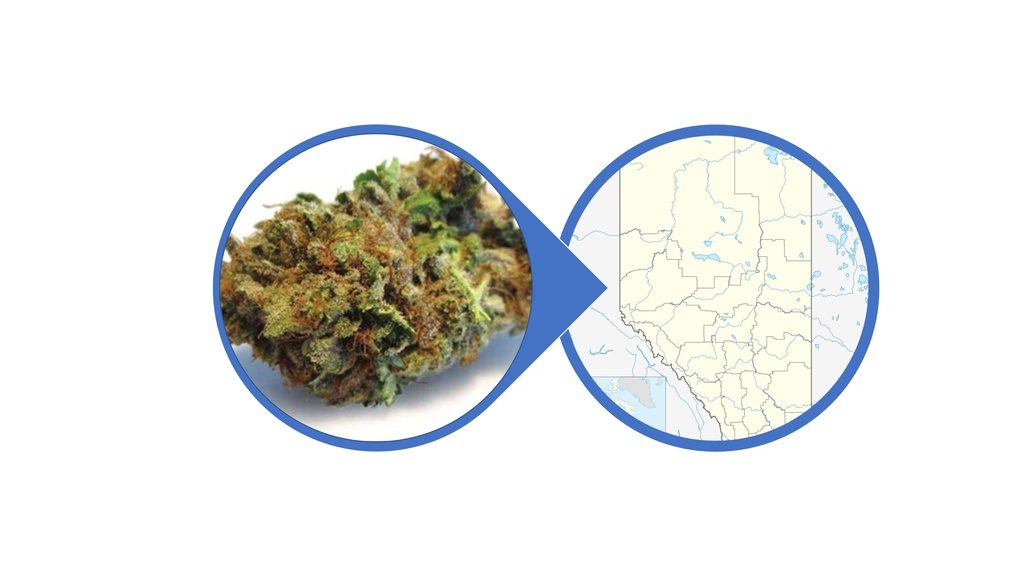 Find Indica Cannabis Flowers in Alberta