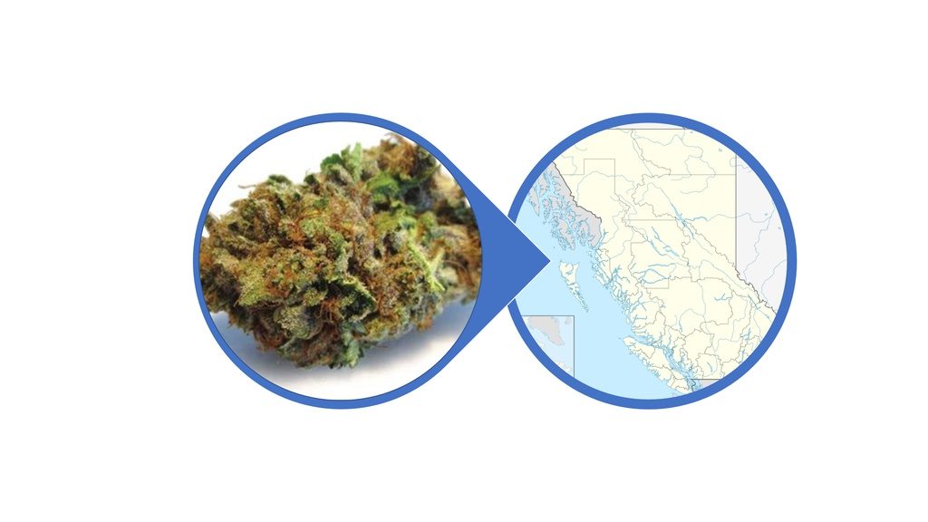 Find Indica Cannabis Flowers in British Columbia