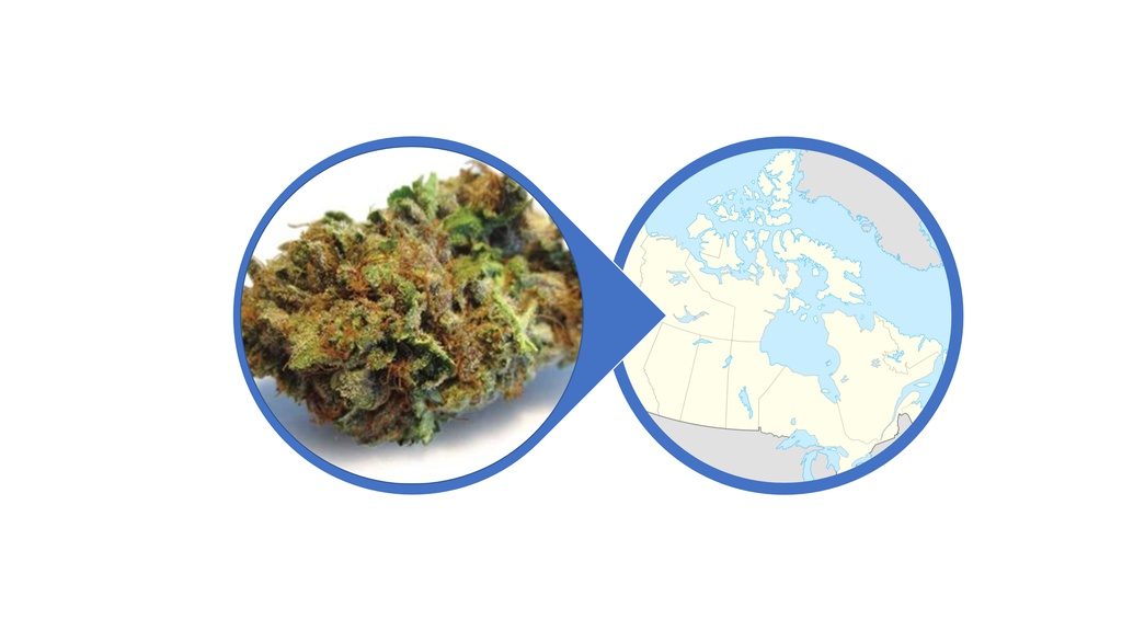 Find Indica Cannabis Flowers Across Canada