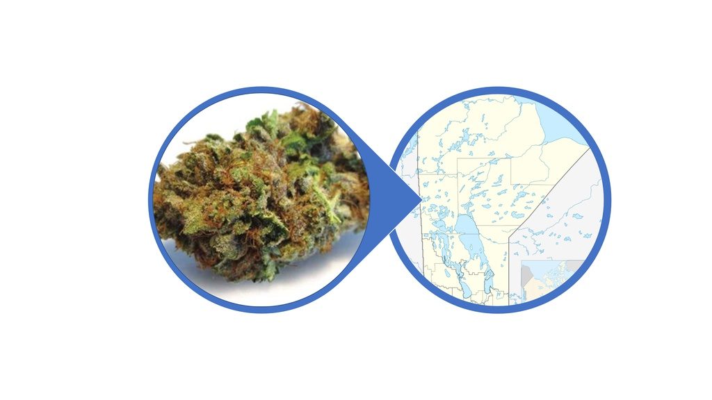 Find Indica Cannabis Flowers in Manitoba