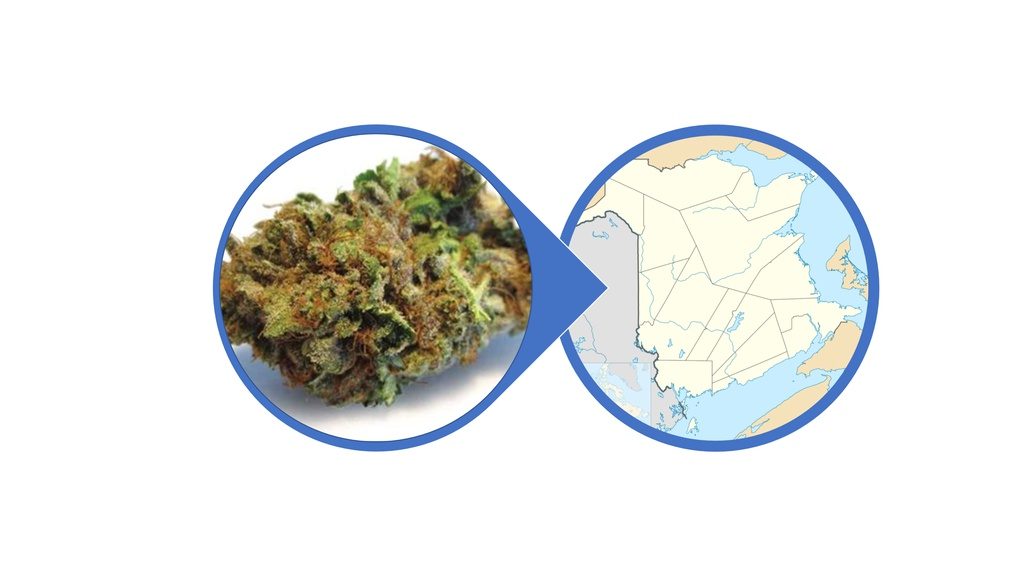 Find Indica Cannabis Flowers in New Brunswick