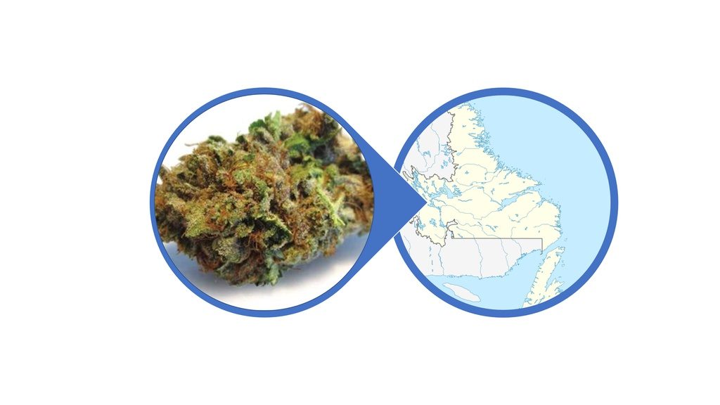 Find Indica Cannabis Flowers in Newfoundland and Labrador