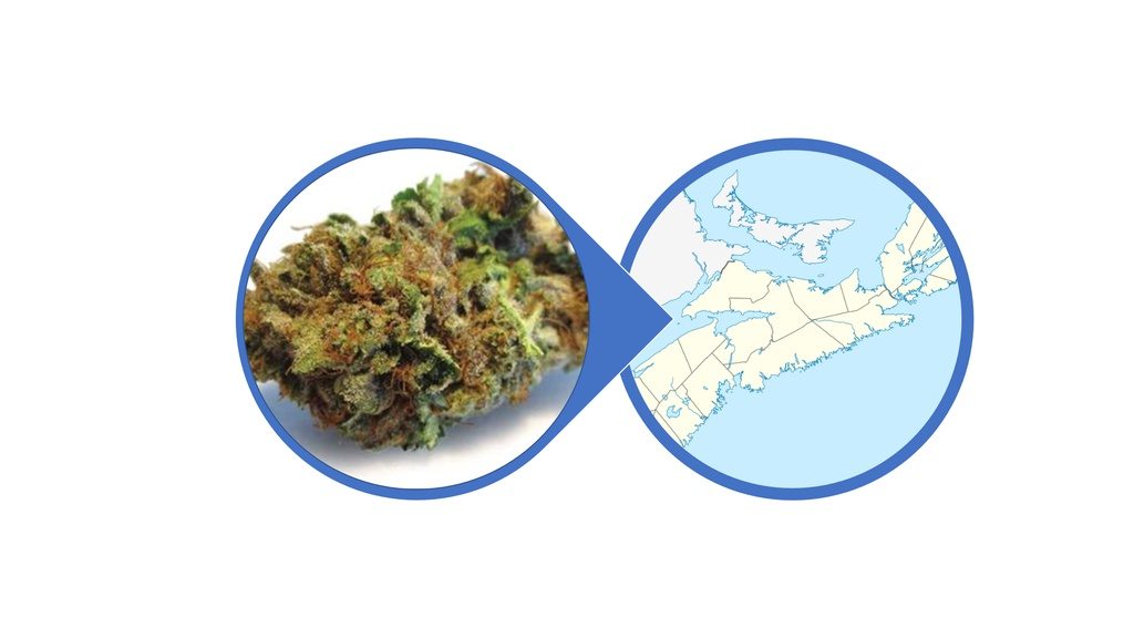 Find Indica Cannabis Flowers in Nova Scotia