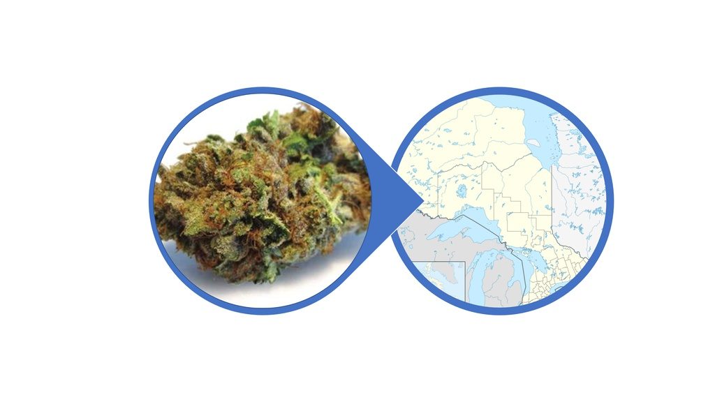 Find Indica Cannabis Flowers in Ontario