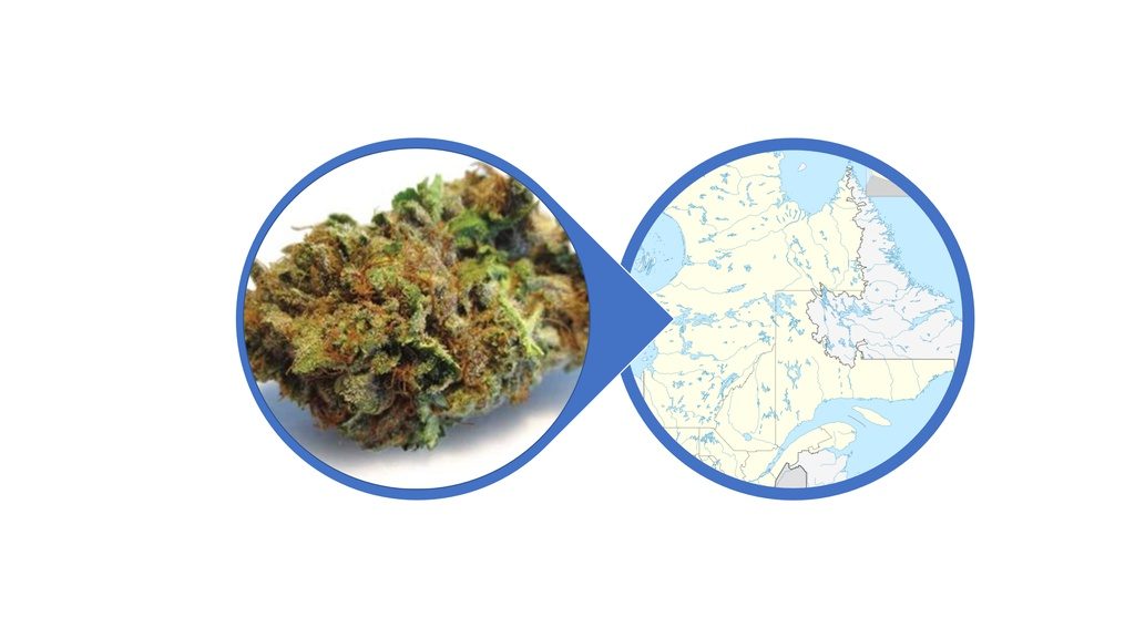 Find Indica Cannabis Flowers in Quebec
