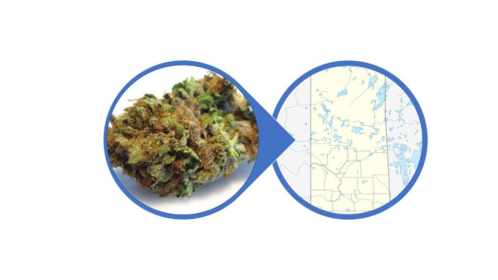 Find Indica Cannabis Flowers in Saskatchewan