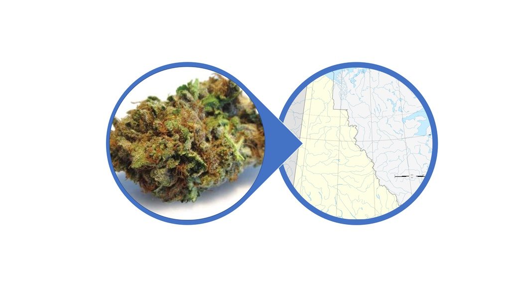 Find Indica Cannabis Flowers in Yukon