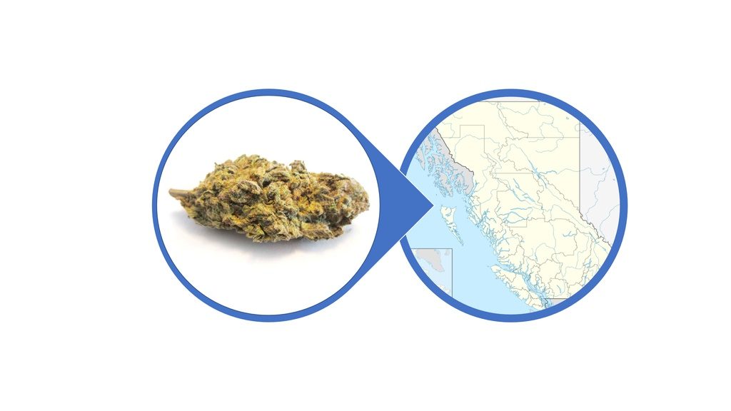 Find Kush Cannabis Strains and Products in British Columbia