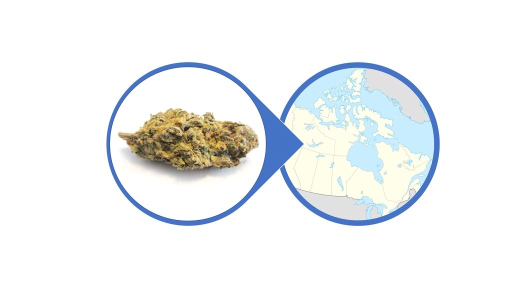 Find Kush Cannabis Strains and Products Across Canada
