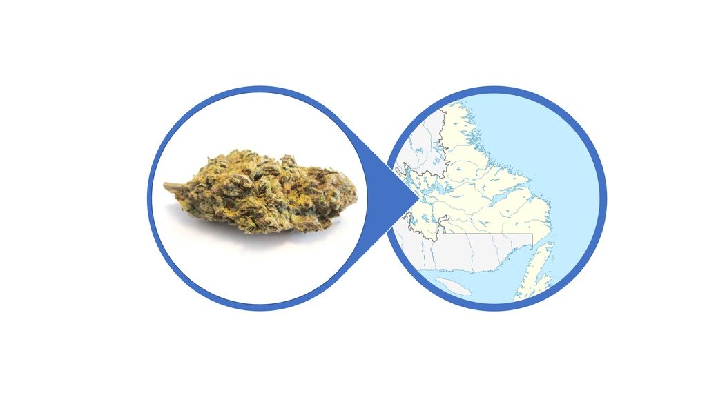 Find Kush Cannabis Strains and Products in Newfoundland and Labrador