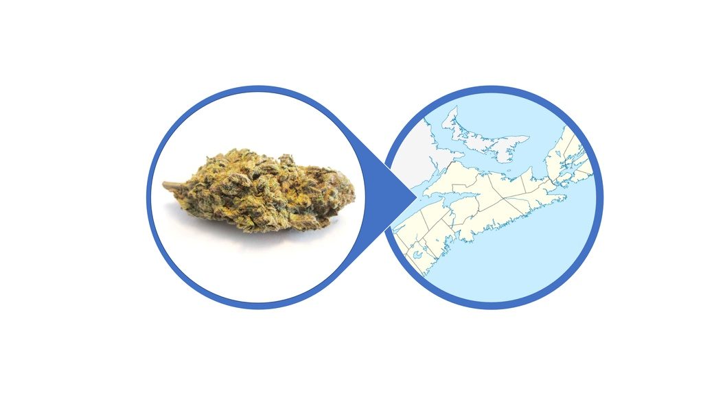 Find Kush Cannabis Strains and Products in Nova Scotia