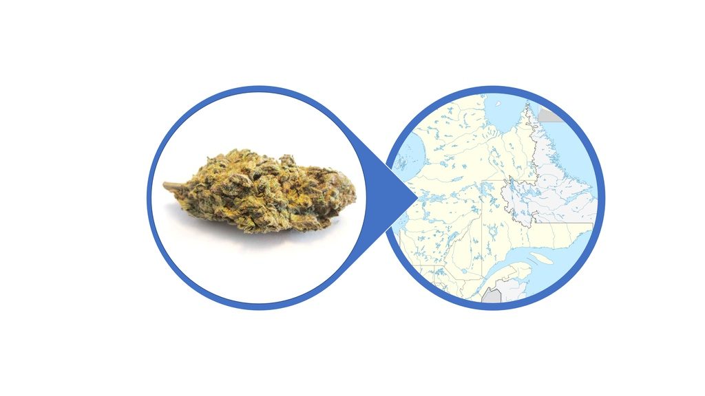 Find Kush Cannabis Strains and Products in Quebec
