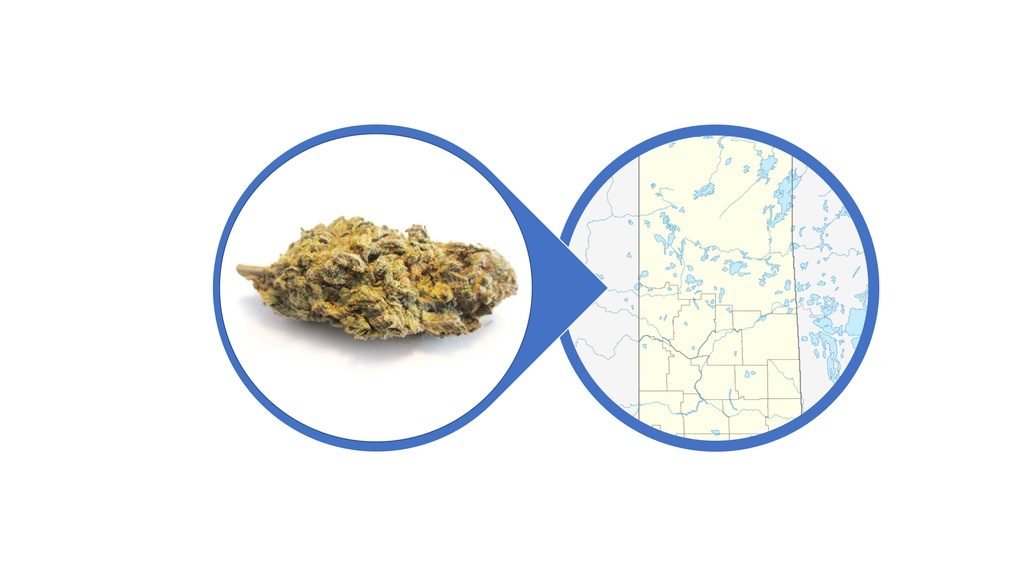 Find Kush Cannabis Strains and Products in Saskatchewan