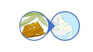 Find Shatter in Newfoundland and Labrador