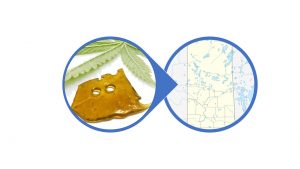 Find Shatter in Saskatchewan