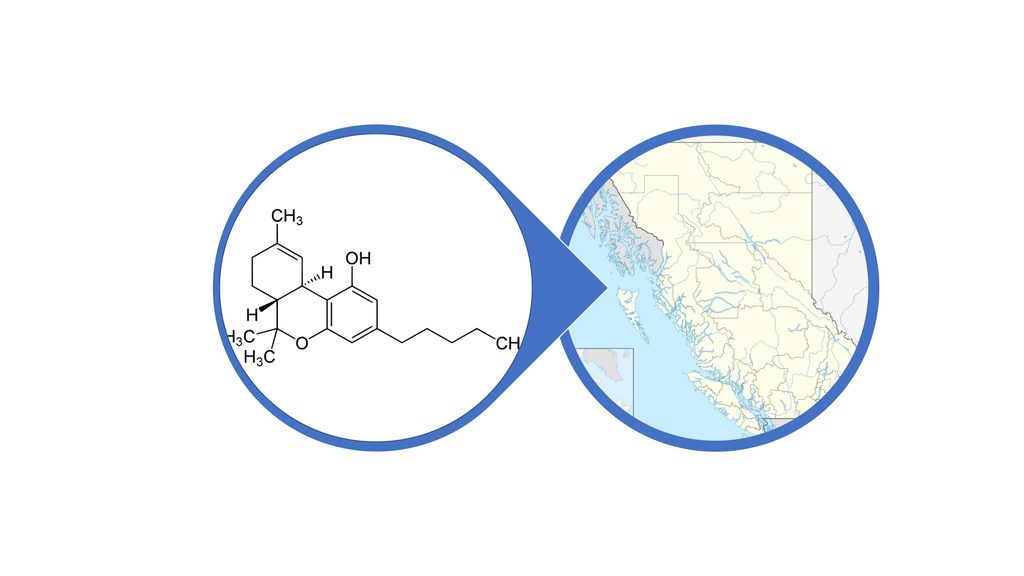 Find THC Products in British Columbia