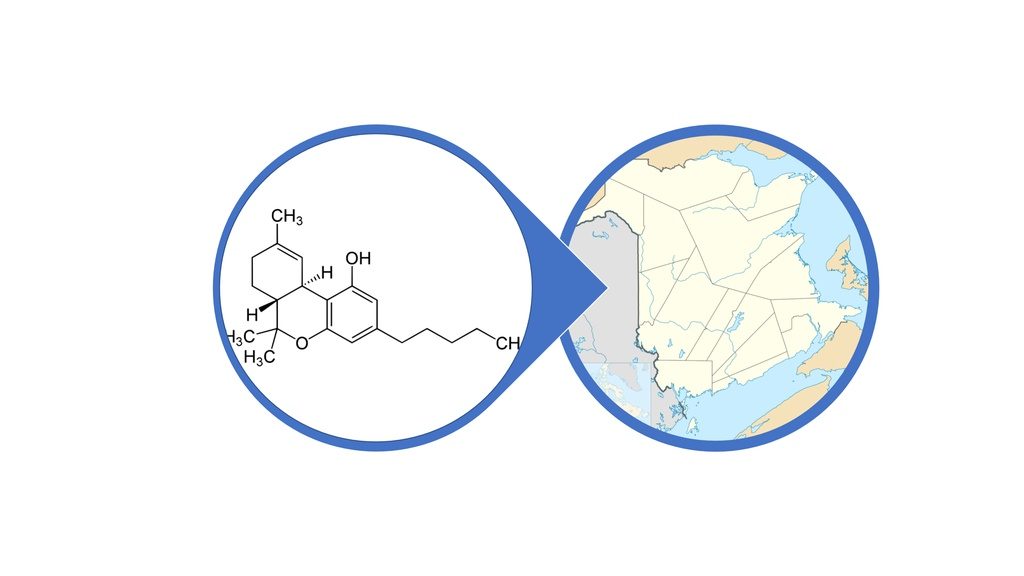 Find THC Products in New Brunswick