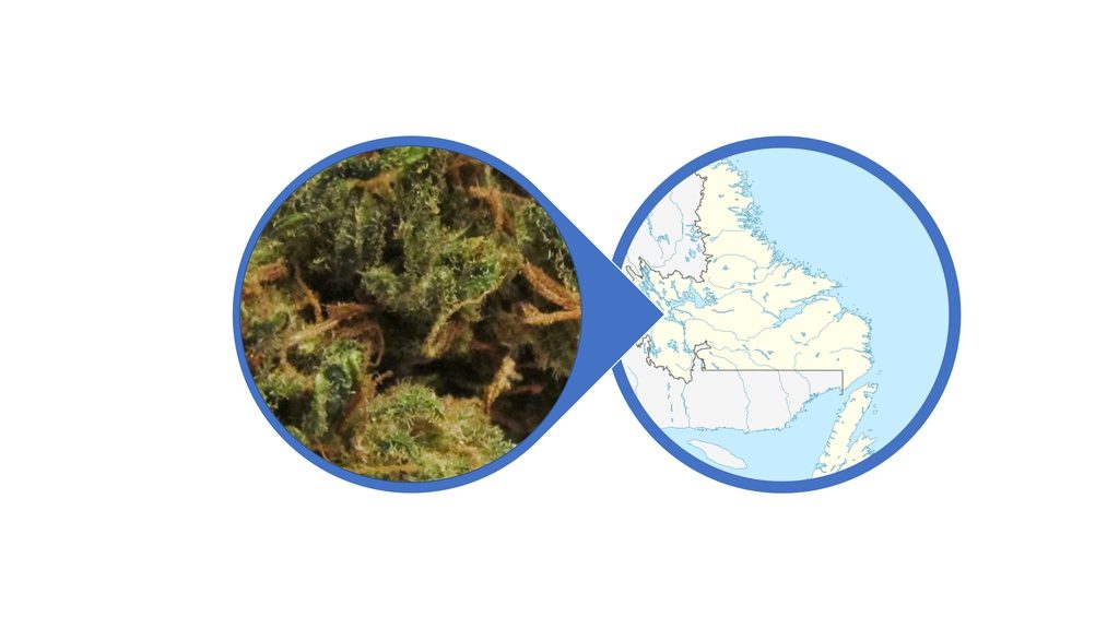 Find Weed in Newfoundland and Labrador