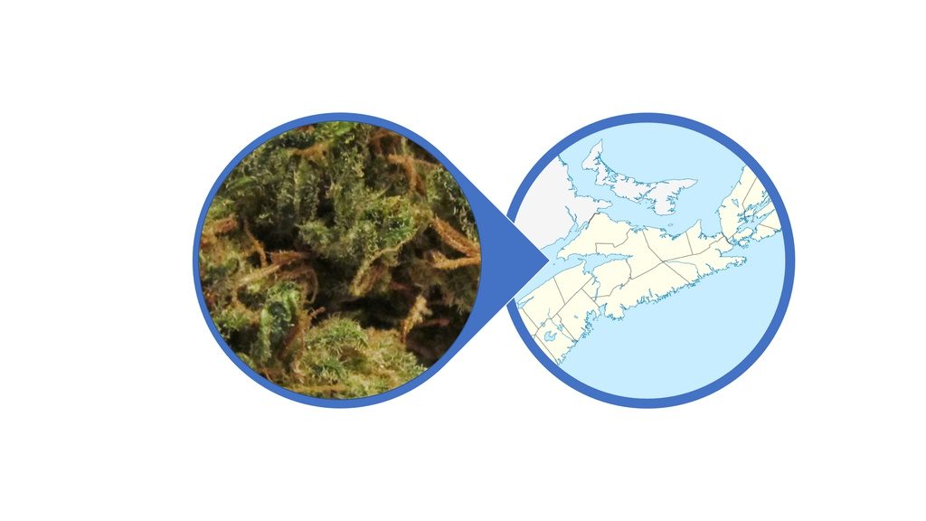 Find Weed in Nova Scotia